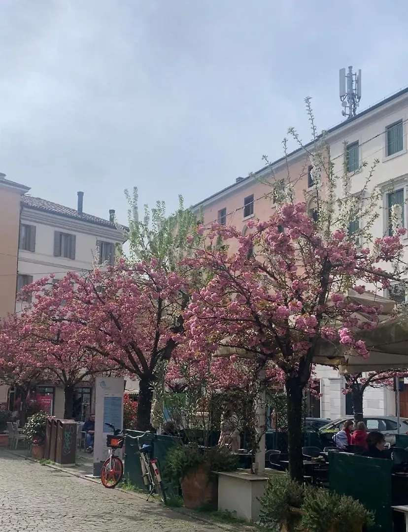Ca'Verde Treviso 0*,  Italy