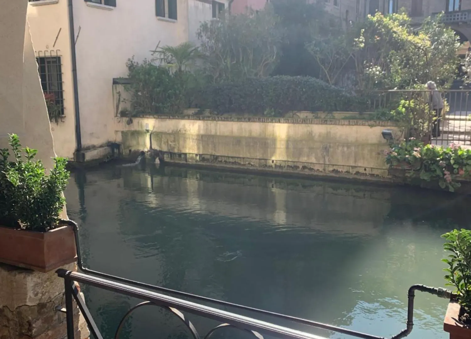 Ca'Verde Treviso